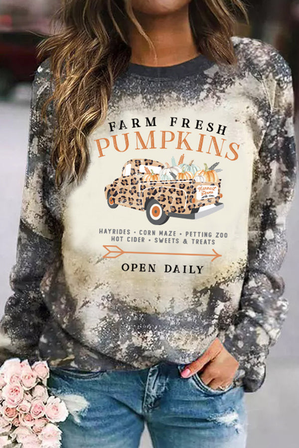 Multicolor FARM FRESH PUMPKINS Graphic Bleached Top